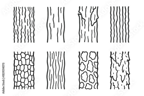 Varied Bark Textures. Bark textures & features set linear set: rough bark, smooth bark, peeling bark, ridged bark, cracked bark, fibrous bark, patchy bark, flaky bark.