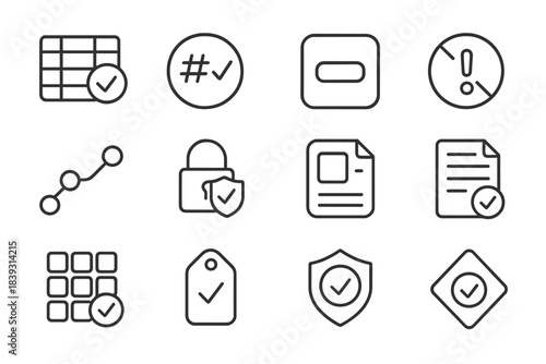 Data Integrity Icons. Data Consistency Elements linear set: verified entry row, hash compare badge, stable field icon, anomaly-free symbol, audit path, locked record seal, version