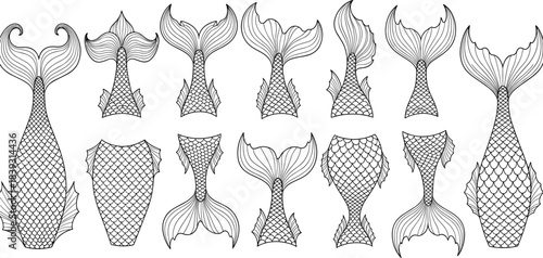 Detailed mermaid tail illustration set featuring intricate scales, decorative fins, fantasy aquatic designs and ocean-themed artwork for creative projects, coloring pages, and crafting