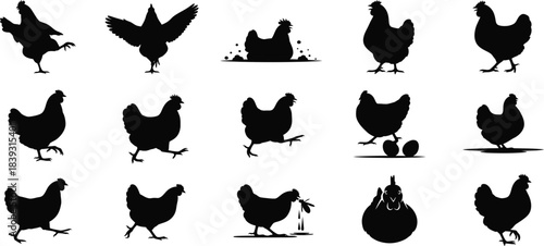Collection of various chicken silhouettes in different poses and actions