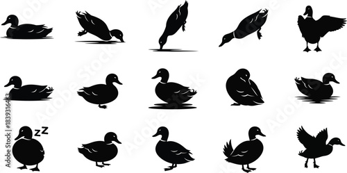 Collection of black silhouette ducks in various poses