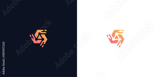 Hexagonal connection logo dual display