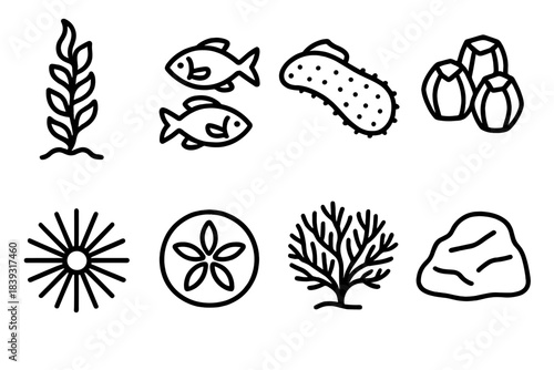 Marine Life Icons. Ocean Habitat Life linear set: kelp tower, reef fish pair, sea cucumber shape, barnacle cluster, urchin spines, sand dollar, coral fan, tidal rock.
