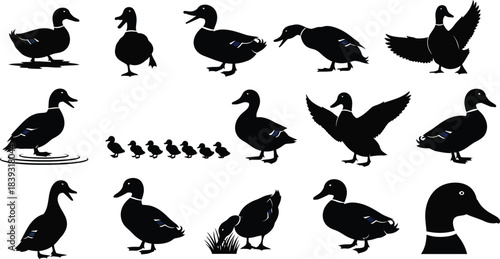 Collection of various duck silhouettes and ducklings in different poses