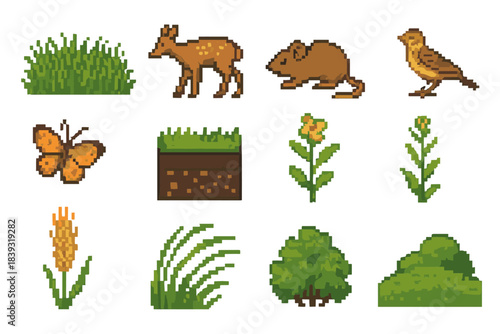 Meadow Ecology Icons. Open Meadow Ecology set of icons in flat pixel vector style: lush grass mat, foraging deer, field mouse, skylark, butterfly hover, soil profile, root network,