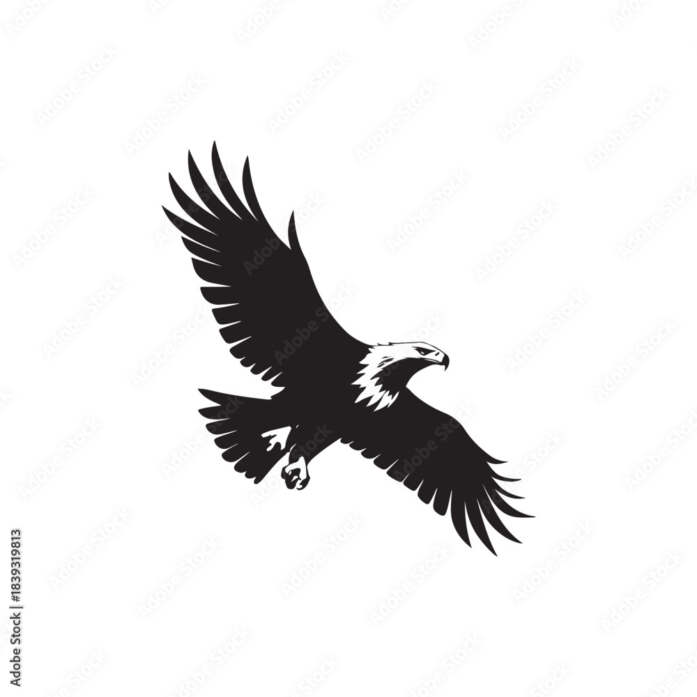 Fototapeta premium eagle vector illustration