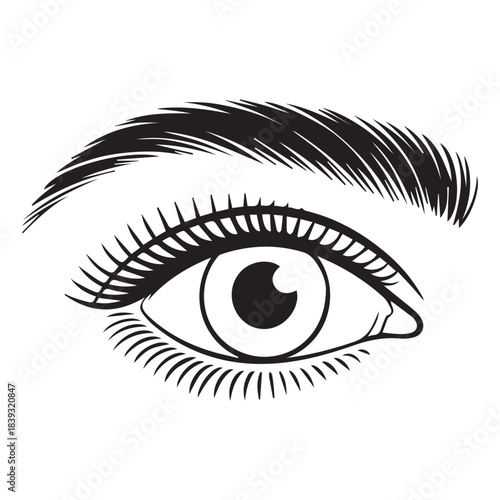  Stylized Human Eye with Eyelashes and Eyebrow Line Art