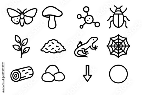 Garden Ecology Icons. Garden Ecology Allies linear set: pollinator moth, decomposer mushroom, soil bacterium node, pest-hunter beetle, companion plant sprig, mulch cover icon,