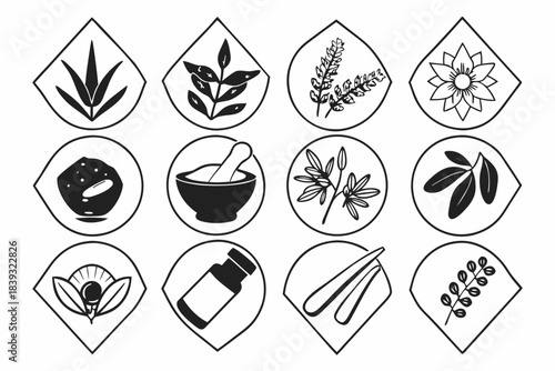 Collection of herbal medicine and plant icons for wellness and natural health