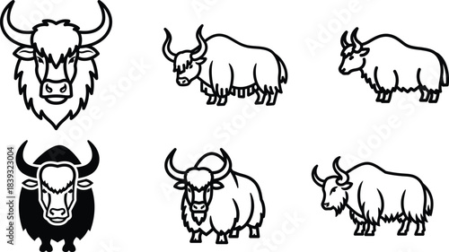 A diverse collection of six striking yak illustrations showcasing both full body and headshot perspe