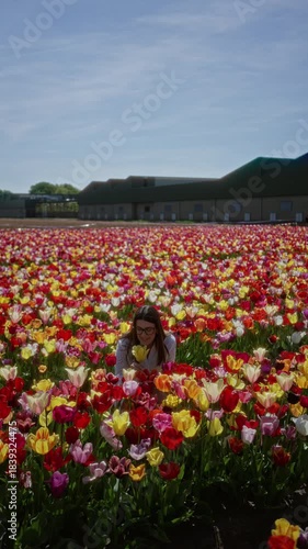 Wallpaper Mural Woman in tulip field with colorful flowers in lisse, netherlands, capturing spring beauty and nature's vibrancy under a clear sky. Torontodigital.ca