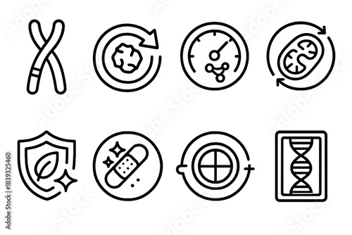 Cellular Health Dynamics. Youthful Cell Dynamics linear set: telomere length marker, damage-removal loop, protein-maintenance dial, mitochondria boost icon, cell-cycle harmony ring