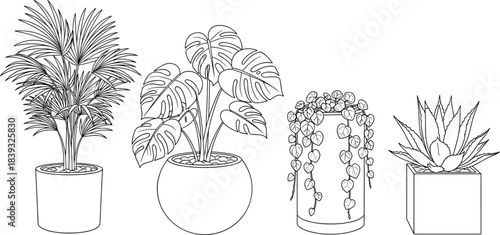 Hand drawn vector set of potted house plants, black outline tropical leaf sketches for home interior design decoration, nature isolated.
