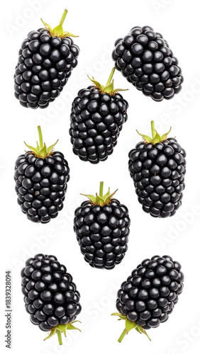 Fresh blackberries floating arrangement isolated on transparent background