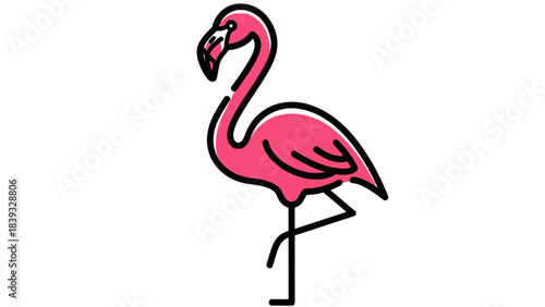 pink flamingo vector