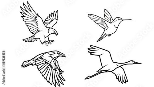 set of birds