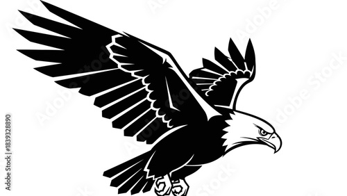 eagle vector illustration