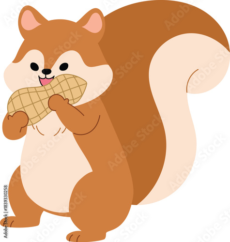 happy squirrel character eating, , cute brown rodent animal eat peanut, funny tiny squirrel illustration