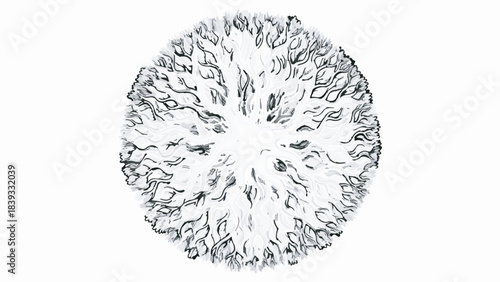 Abstract Black and White Circular Organic Fractal Pattern Illustration Isolated on White Background