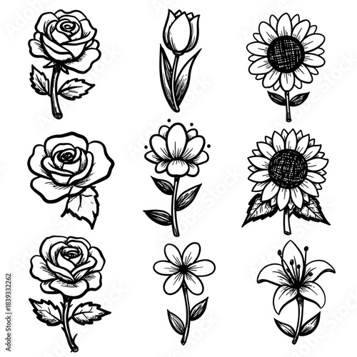 An elegant vector collection of simple, minimalist floral elements, showcasing diverse blossoming flowers, ideal for graphic design, botanical illustrations, and decorative projects