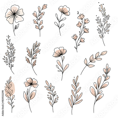 A charming collection of minimalist vector floral elements, elegantly hand-drawn with simple lines and subtle blush accents, perfect for delicate design projects and creative branding