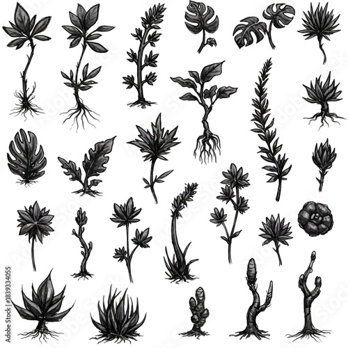 A comprehensive vector collection of hand-drawn sketchy plant forms, featuring various botanical elements and illustrations for nature-inspired creative projects