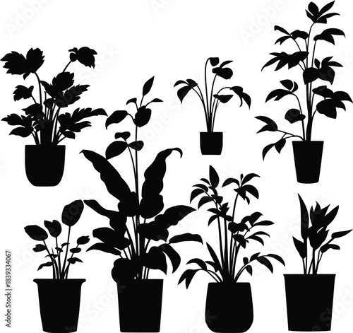 Dramatic silhouette of a rose with a single stem and leaves against a bright background.