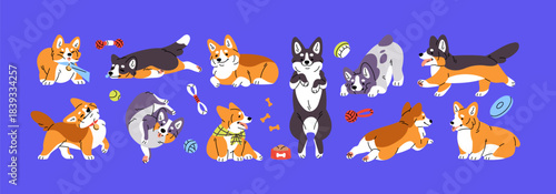 Cute set of corgi. Funny dogs are playing with toys and having a rest. Happy puppies sleep, relax, push leash and have fun. Adorable pets. Amusing domestic animals. Flat isolated vector illustrations.