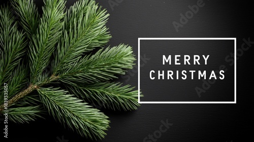 Merry Christmas text in white bordered frame, fresh green pine branch, placed on dark black textured background. Festive holiday greeting, seasonal decoration ideal for wallpaper, poster, banner.