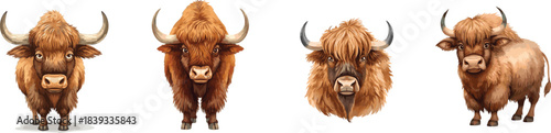 Yak cartoon wild mountain brown bull hand drawn watercolor set illustration isolated on white. 