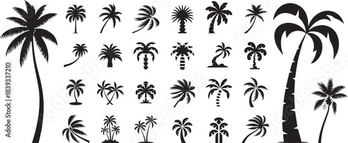 Tropical palm tree silhouette icon set of coconut palm vector elements collection