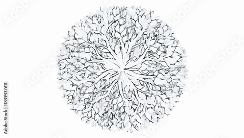 Abstract Circular Organic Network Pattern Illustration of Intertwined Branches