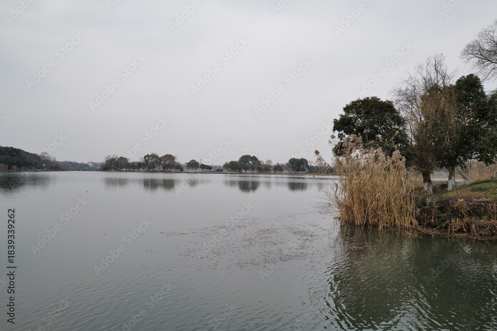 Obraz premium reflection of trees in the lake