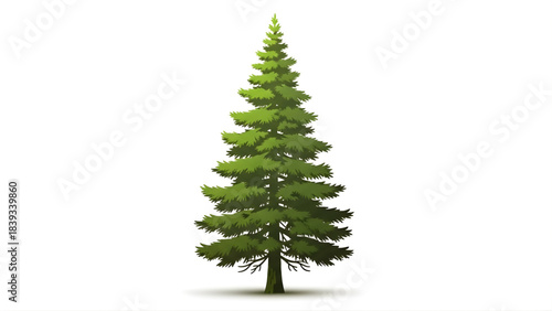 Vibrant and majestic evergreen fir tree illustration, perfect for nature-themed designs, winter landscapes, and festive holiday graphics with a touch of natural beauty