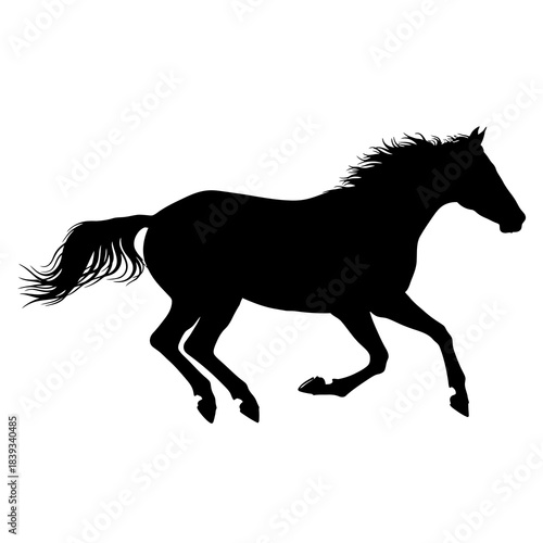 Running horse silhouette isolated on white background