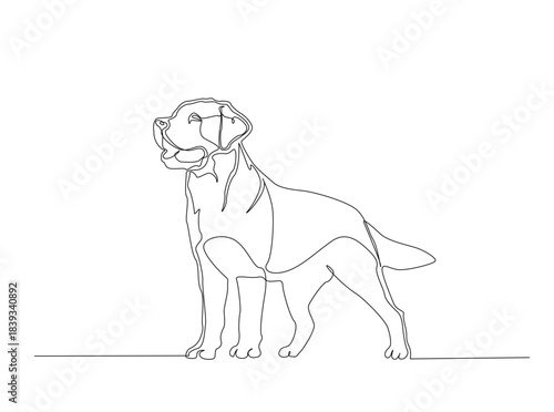 Single Continuous Line Drawing of adorable labrador retriever dog. Domestic Animal.