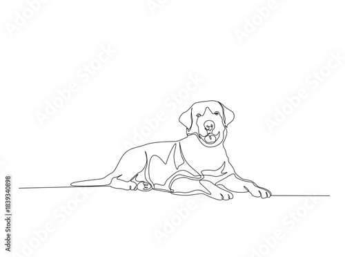 Single Continuous Line Drawing of adorable golden retriever dog. Domestic Animal.