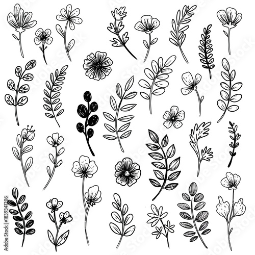An exquisite vector assortment of simple hand-drawn floral elements and delicate botanical leaves, perfect for minimal graphic design projects and natural embellishments