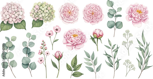 Elegant Watercolor Floral Collection with Hydrangeas, Peonies, Roses, and Eucalyptus Leaves for Design Projects