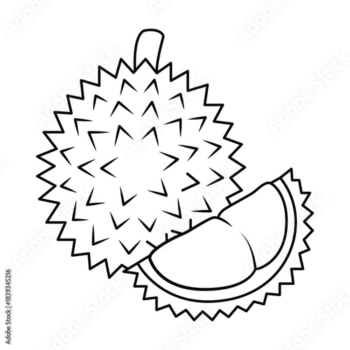 Cutaway Durian B Fruit