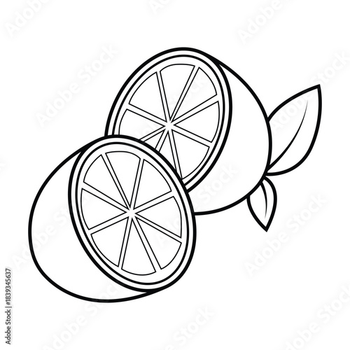 Cutaway Lemon B Fruit