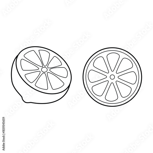 Cutaway Lemon Fruit