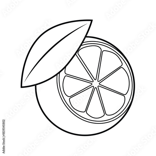 Cutaway Lime C Fruit