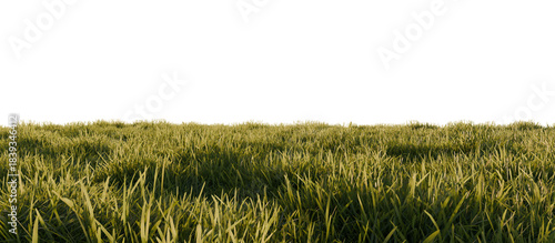 Foto Hills with grass on a transparent background. 3D rendering.