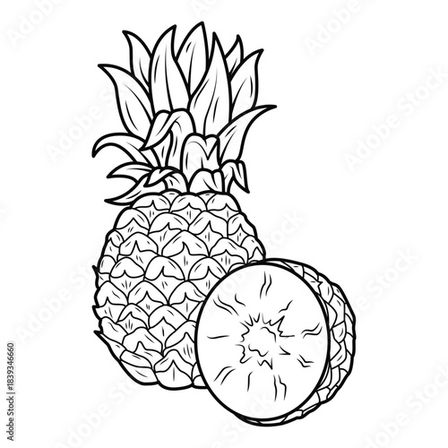 Cutaway Pineapple Fruit