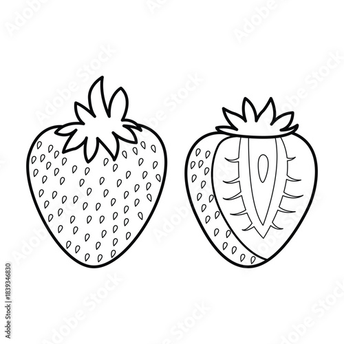 Cutaway Strawberry B Fruit