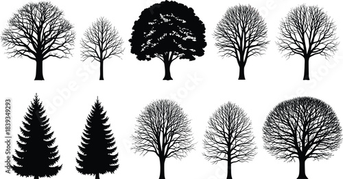 Tree silhouettes collection, diverse deciduous and evergreen designs, detailed botanical illustrations, winter leafless branches, forest graphic elements for nature artwork