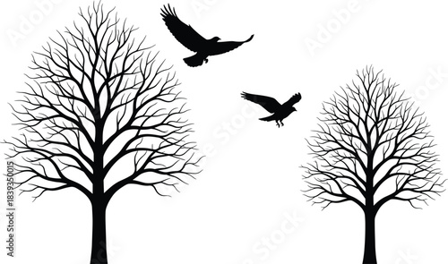 Winter tree silhouettes with flying birds, detailed bare branches, nature wildlife illustration, forest landscape design elements for natural outdoor artworkWinter 