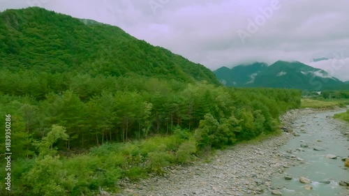 車の窓から見える綺麗な景色