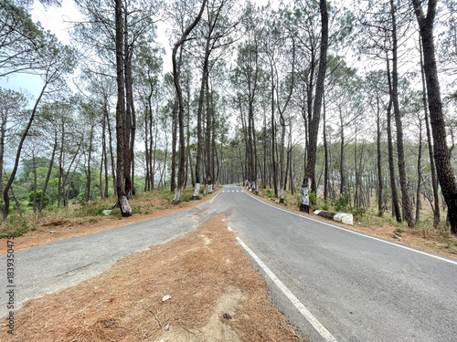 a beautiful two side road photo click by still